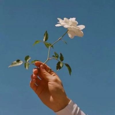 美国股指期货下跌 市场密切关注美伊谈判的可能性